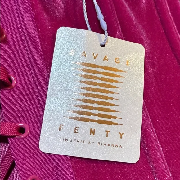 NWT SAVAGE X FENDY FUCHSIA VELVET CORSET💗 - Picture 4 of 9